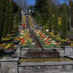 Hightlight auf der Insel Mainau - die Wassertreppe